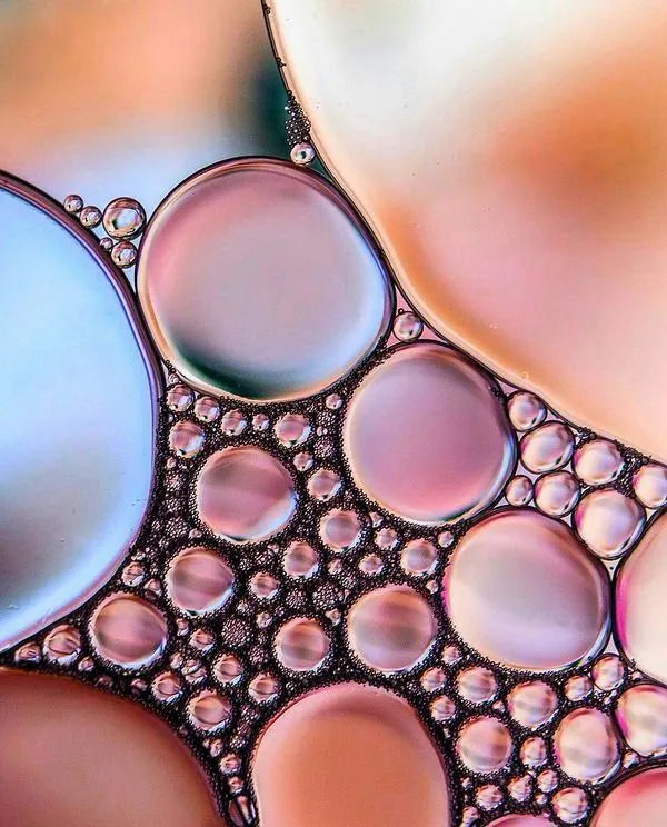 Optimized Health Made Simple: Longevity Method’s Holistic Approach